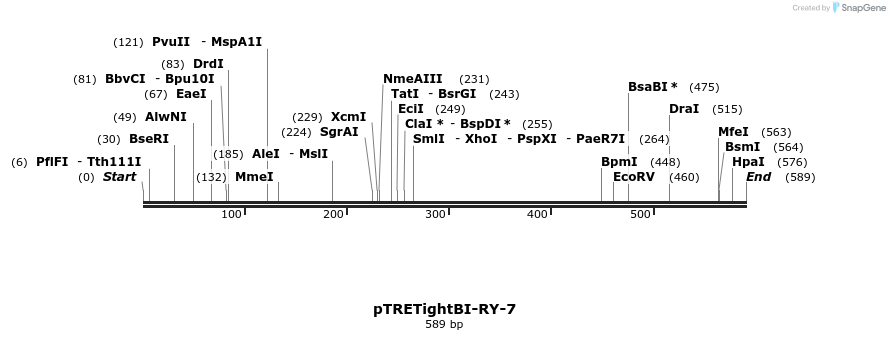 39740_map