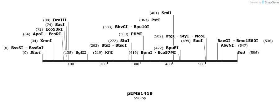 39751_map