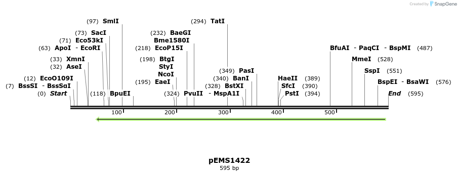 39755_map