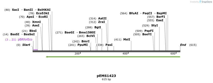 39756_map