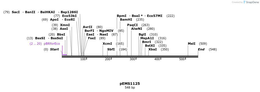 39767_map