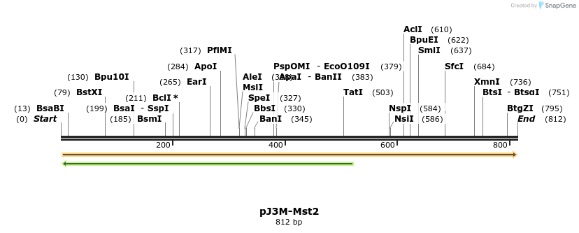 39771_map