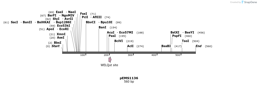 39775_map