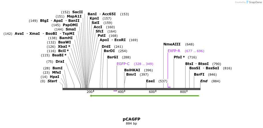 39790_map