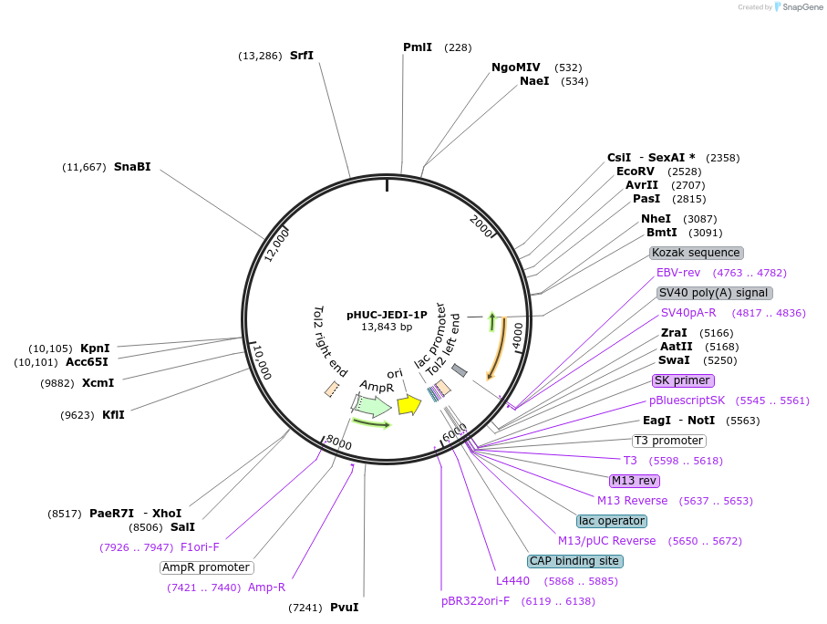 398002_map