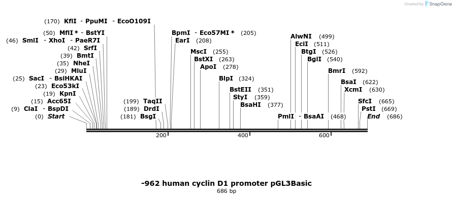 39801_map