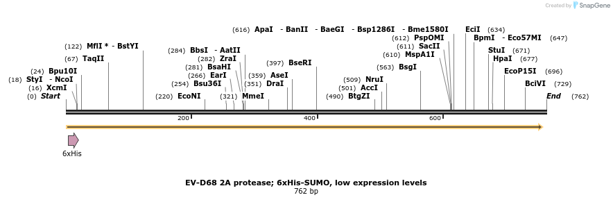 398075_map