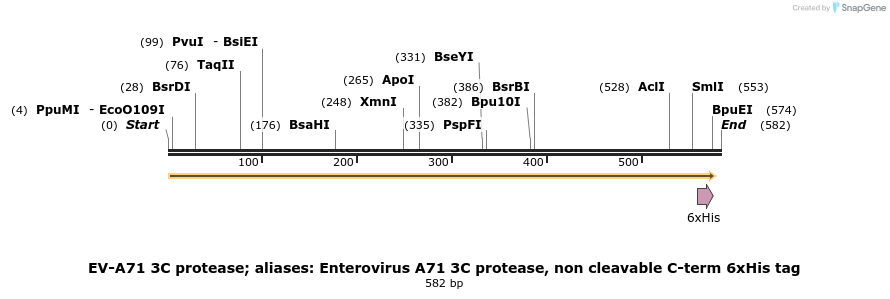 398089_map