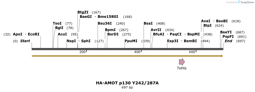 39813_map