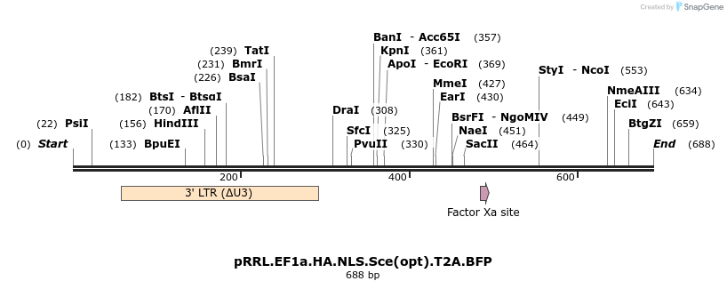 39817_map