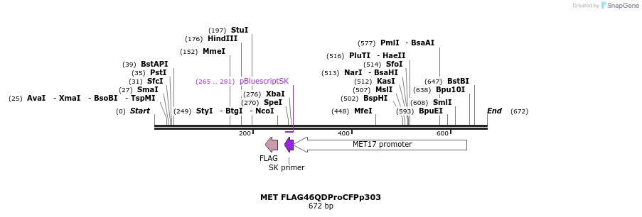 39824_map