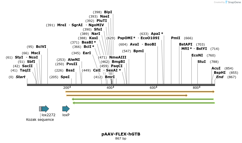 39830_map