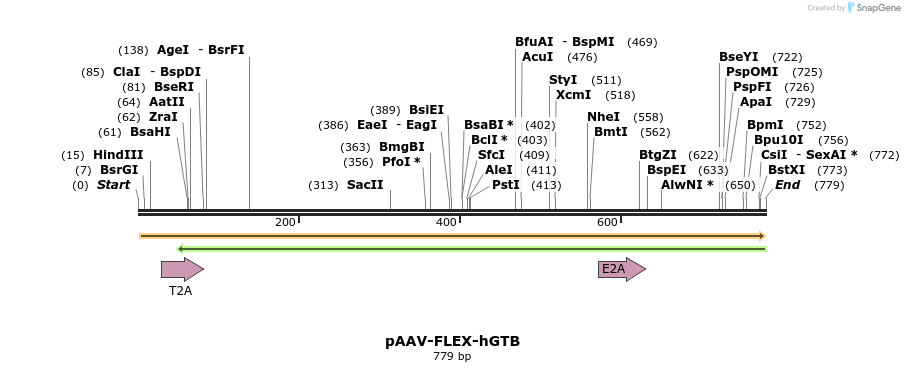 39831_map
