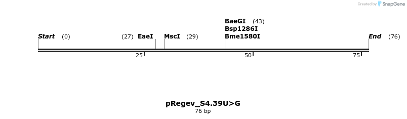398319_map