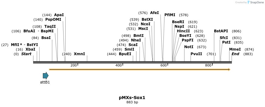 39839_map