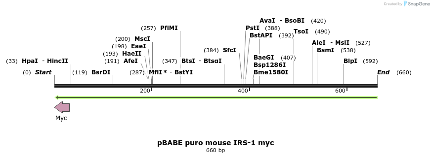 39840_map