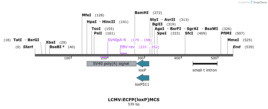 39841_map