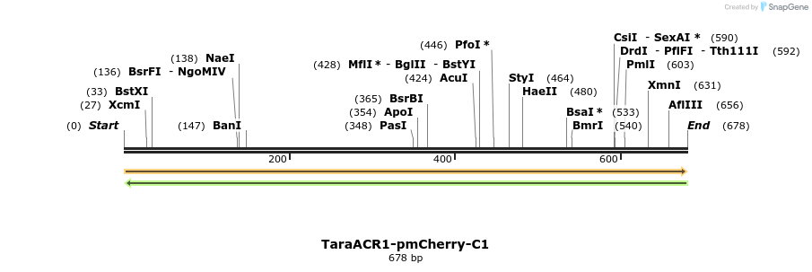 398414_map
