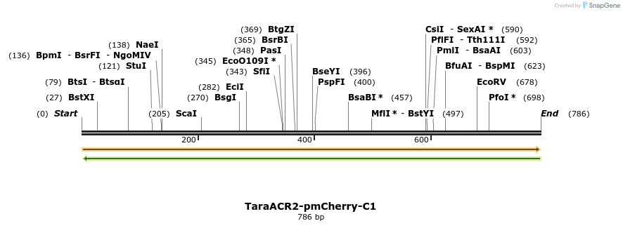 398416_map