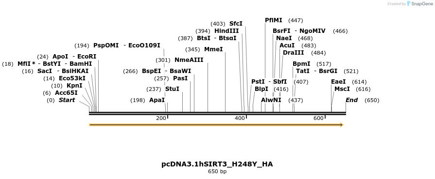 39842_map
