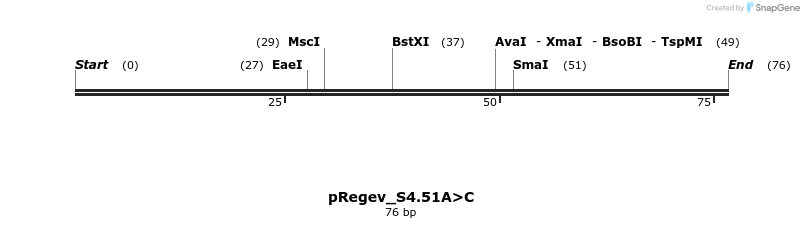 398428_map