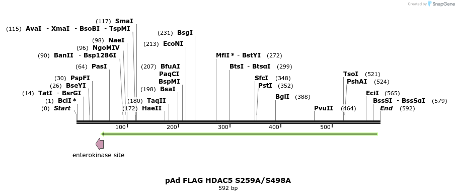 39847_map