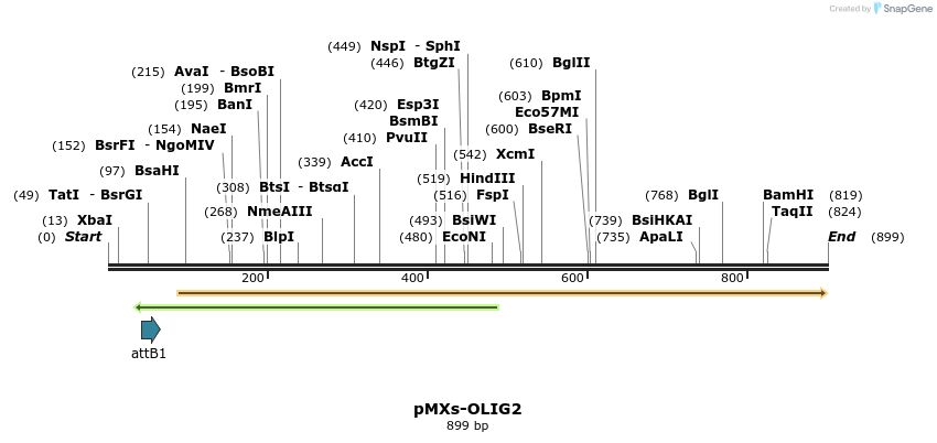 39848_map