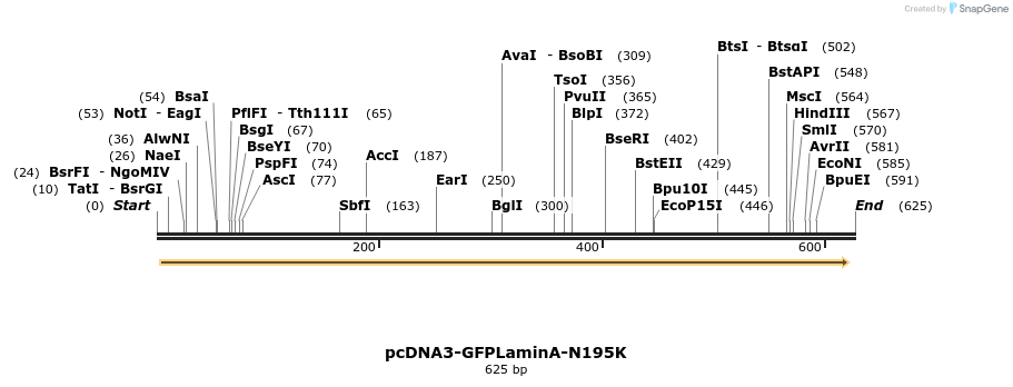 39849_map