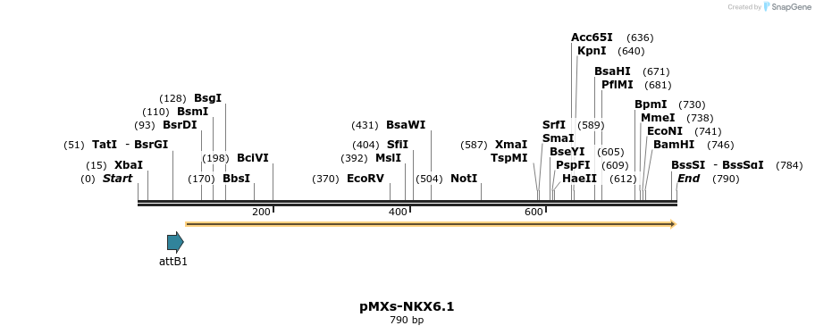 39850_map
