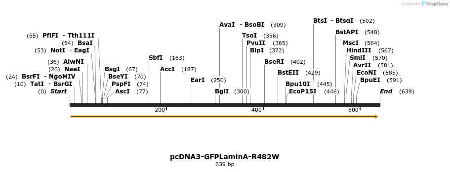 39855_map