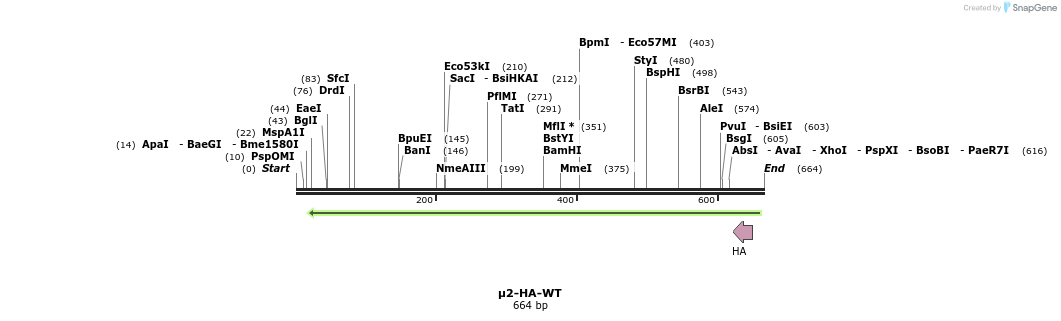 39857_map