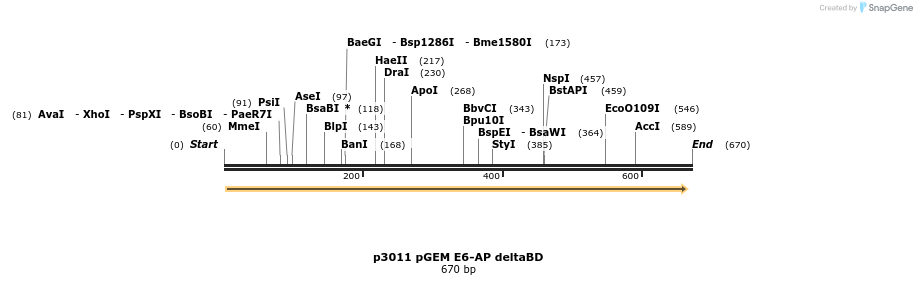 39858_map