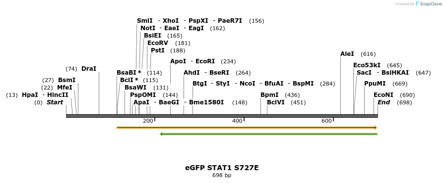 39864_map