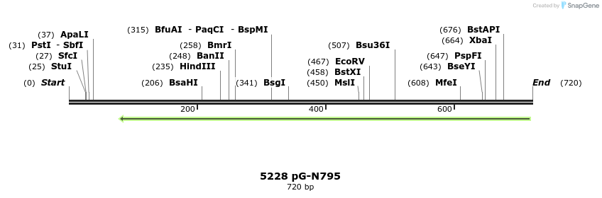 39868_map