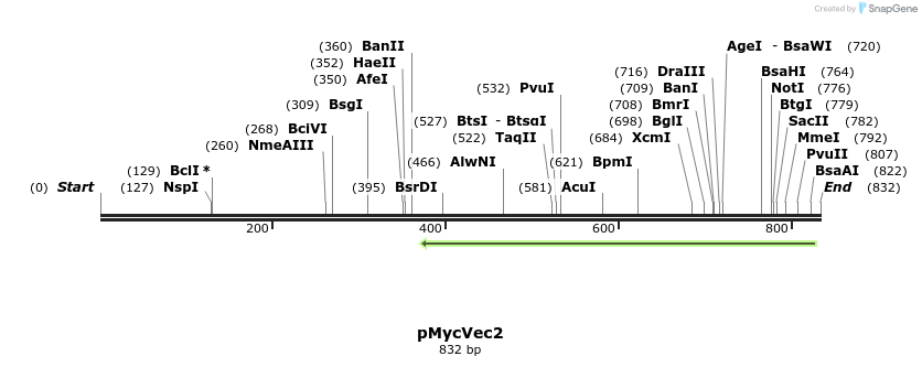 39873_map