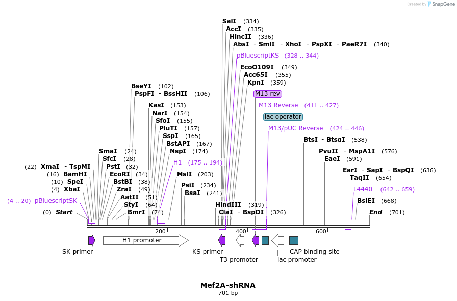 39877_map
