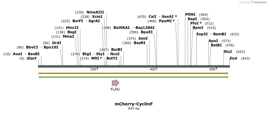 39879_map