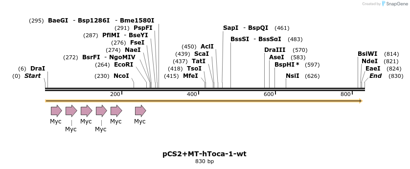 39894_map