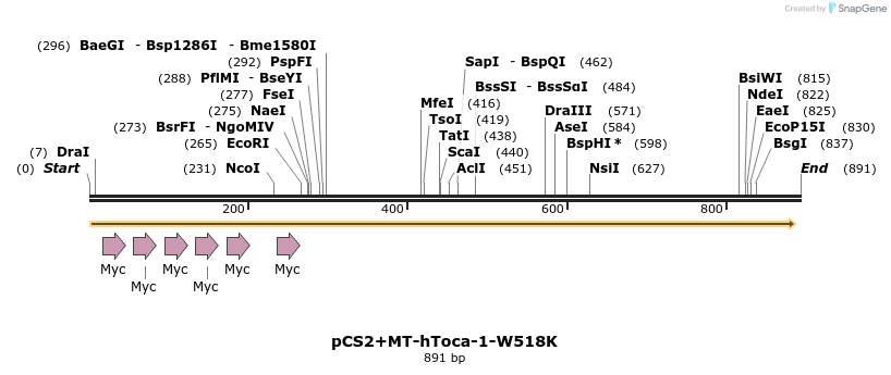39895_map