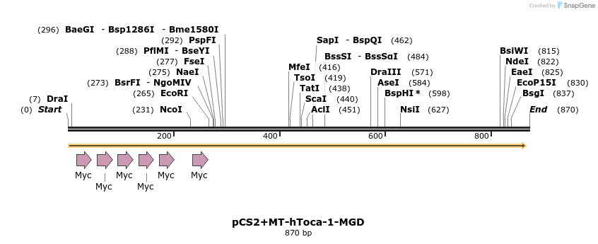 39897_map