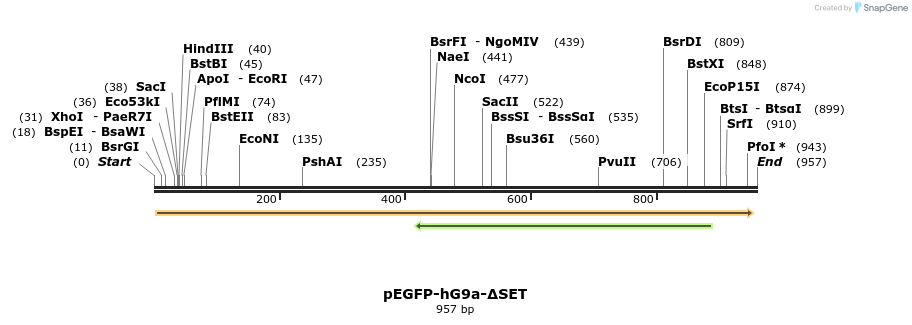 39901_map