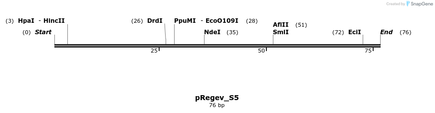 399111_map