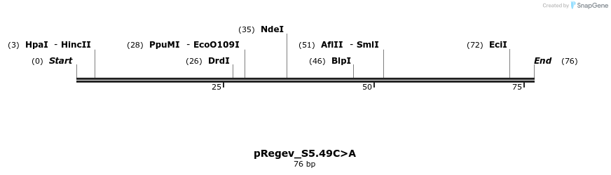 399113_map