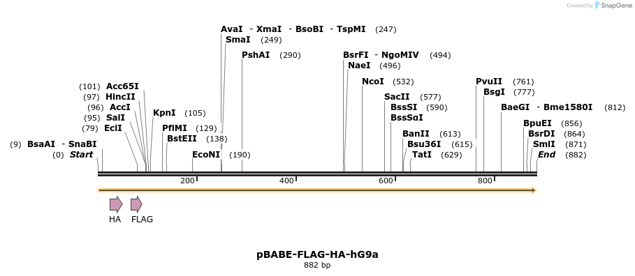 39913_map