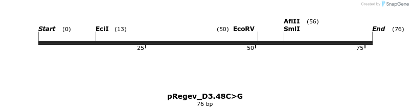 399132_map