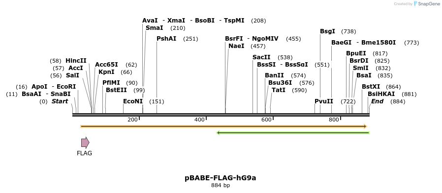 39915_map