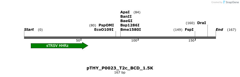 399192_map