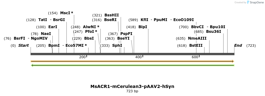 399270_map