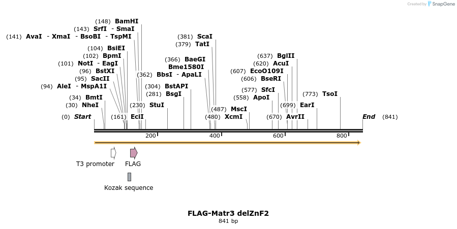 39928_map