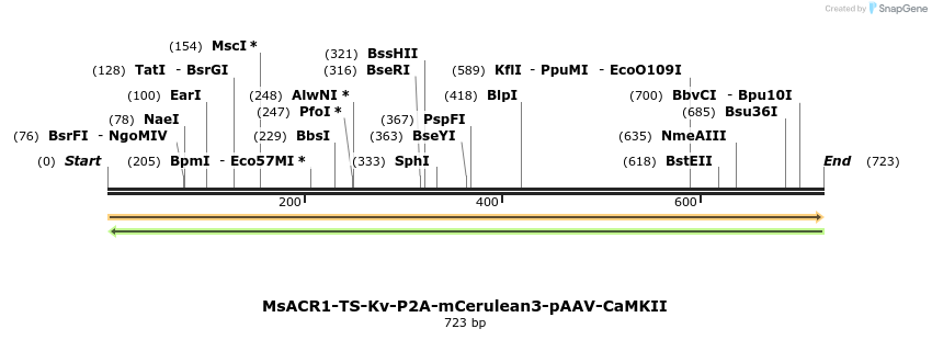 399283_map